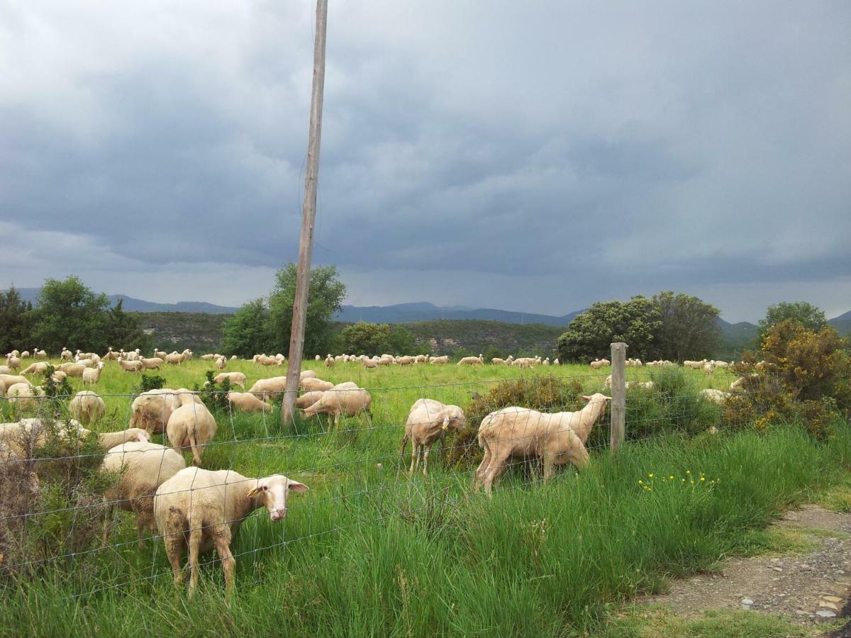 Casa Encuentra, En El Pirineo Al Lado De Ainsa Pension El Pueyo de Araguás Buitenkant foto